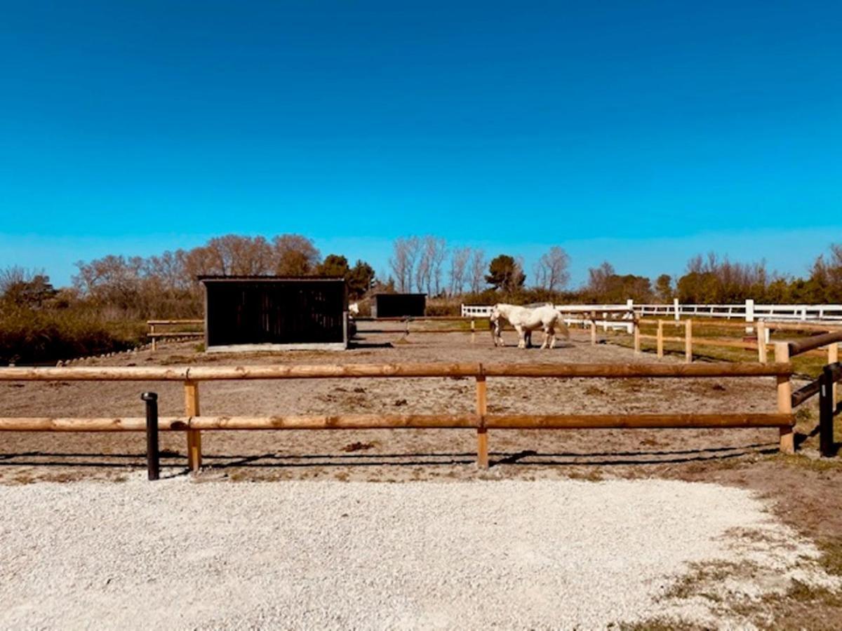 Gites Equestres Lou Caloun - Les Saintes Maries De La Mer Saintes-Maries-de-la-Mer Exterior foto