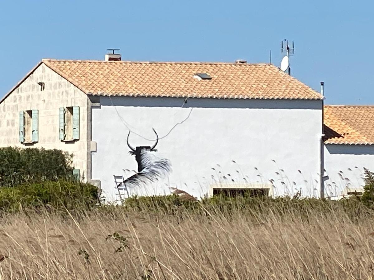 Gites Equestres Lou Caloun - Les Saintes Maries De La Mer Saintes-Maries-de-la-Mer Exterior foto